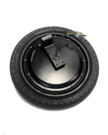 Motor Assembly for Inmotion...
