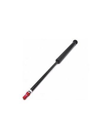 Gas spring for Inmotion...