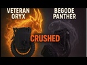 Zen Lee — Comparison (English): The Veteran Oryx CRUSHES the Begode PANTHER