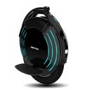 INMOTION V10F